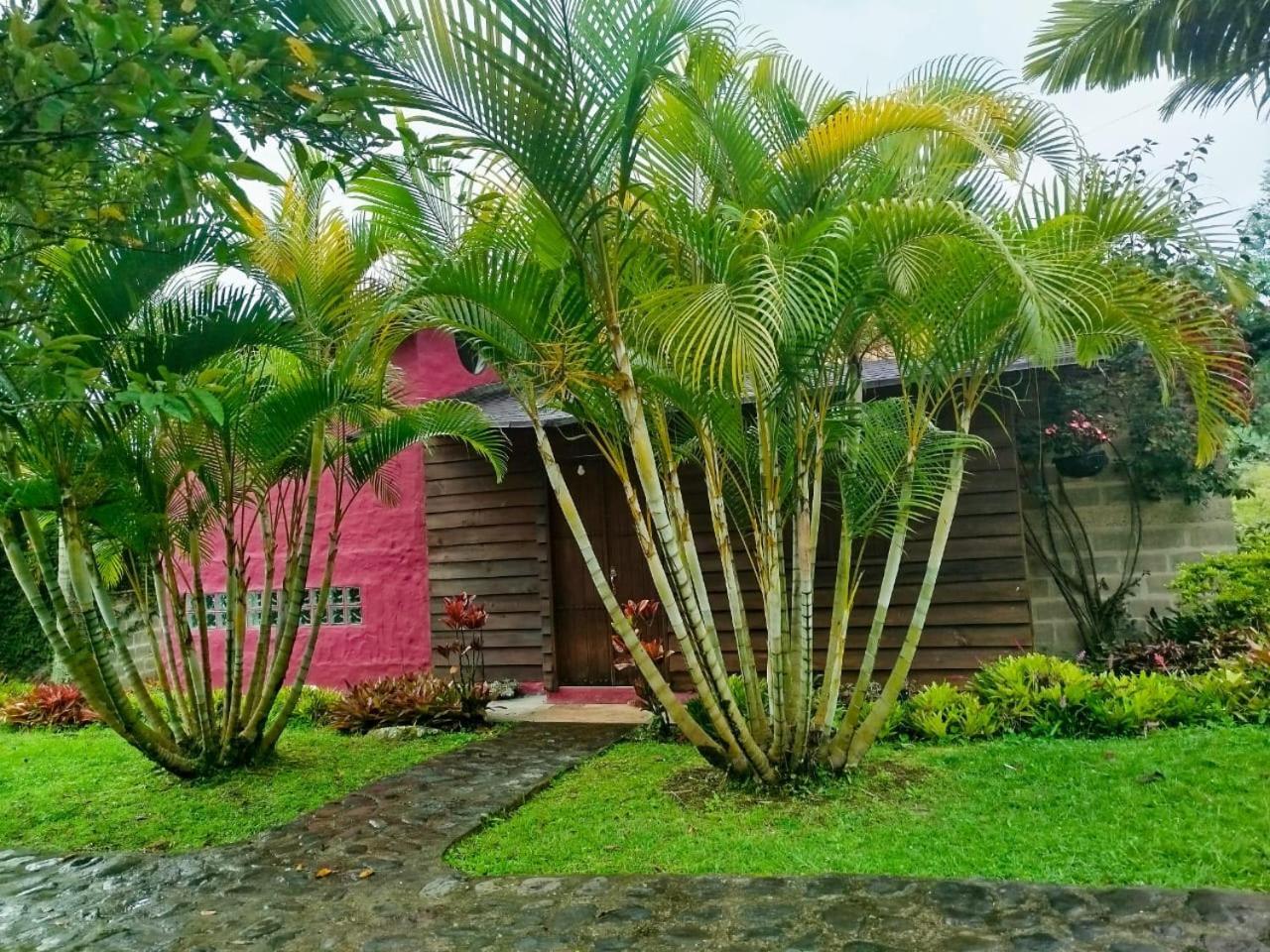 Utopia Lodge