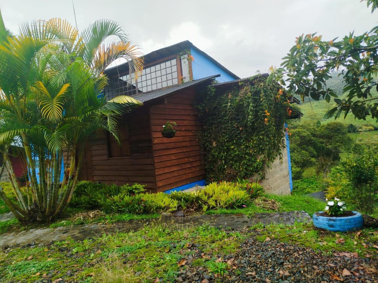 Utopia Lodge Jardin